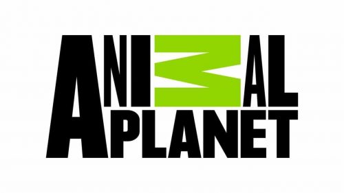 Animal Planet Logo 2008