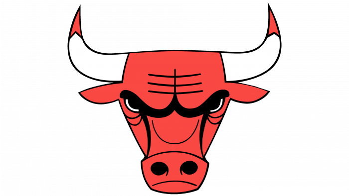 Chicago Bulls Logo